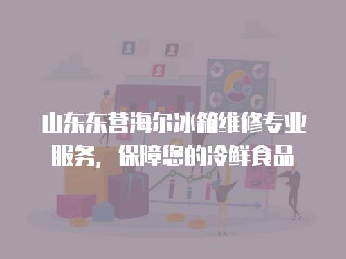 山東東營海爾冰箱維修專業(yè)服務(wù)，保障您的冷鮮食品