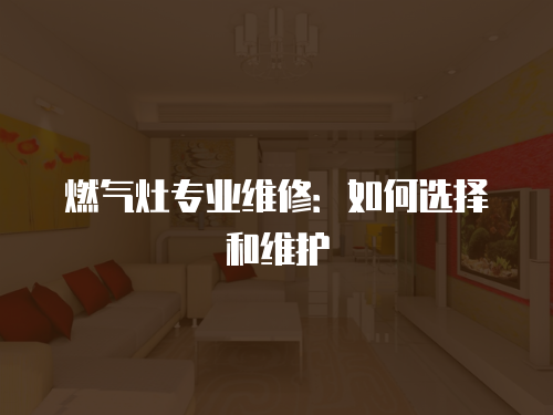 燃?xì)庠顚?zhuān)業(yè)維修：如何選擇和維護(hù)
