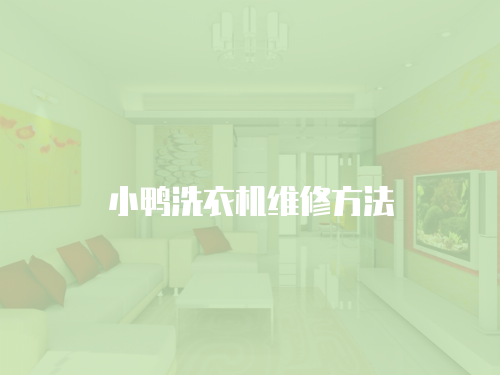 小鴨洗衣機維修方法