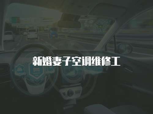 新婚妻子空調(diào)維修工