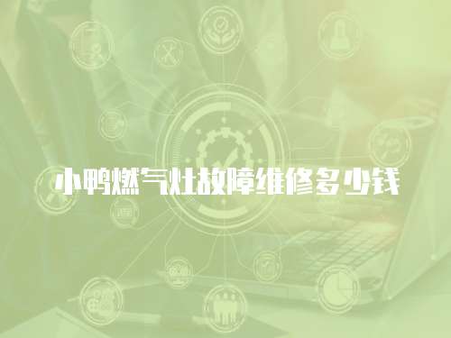 小鴨燃氣灶故障維修多少錢