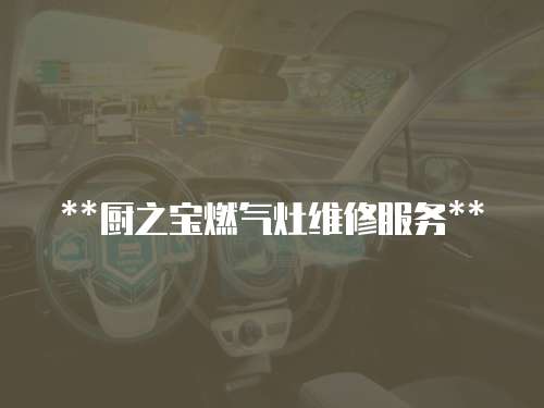  **廚之寶燃?xì)庠罹S修服務(wù)**