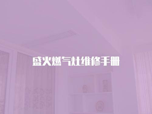 盛火燃?xì)庠罹S修手冊