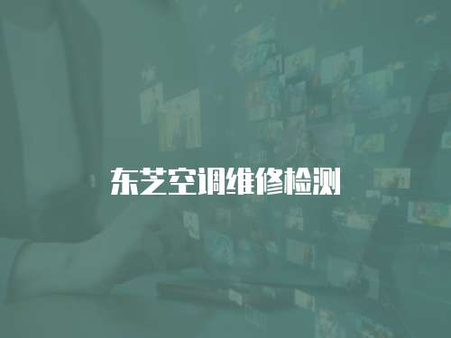 東芝空調(diào)維修檢測