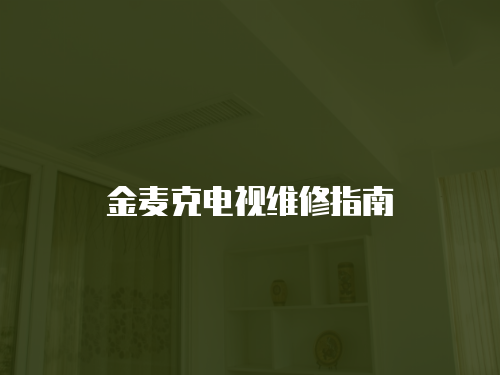 金麥克電視維修指南