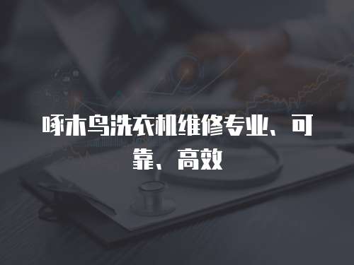 啄木鳥洗衣機維修專業、可靠、高效