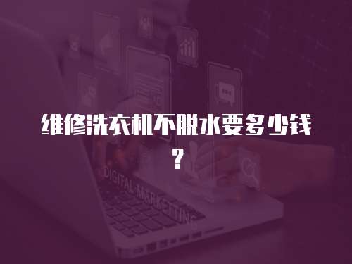 維修洗衣機不脫水要多少錢？