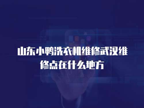山東小鴨洗衣機維修武漢維修點在什么地方