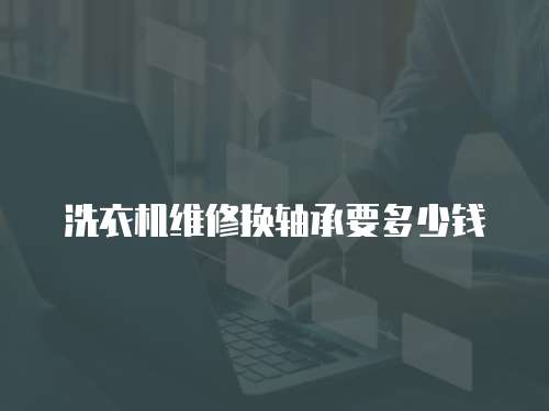 洗衣機(jī)維修換軸承要多少錢(qián)