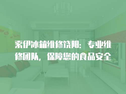 索伊冰箱維修饒陽：專業(yè)維修團(tuán)隊(duì)，保障您的食品安全