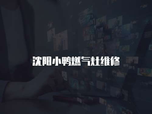 沈陽小鴨燃氣灶維修