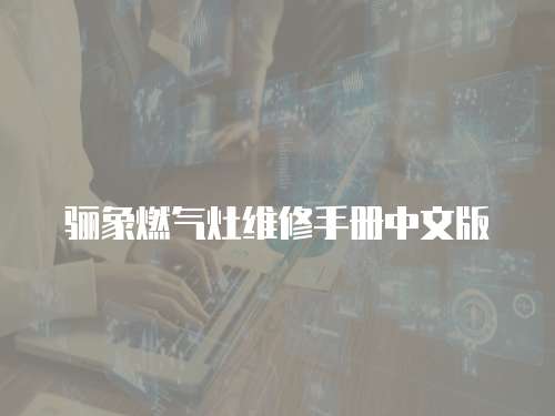 驪象燃氣灶維修手冊中文版