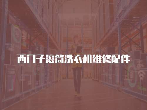 西門子滾筒洗衣機維修配件