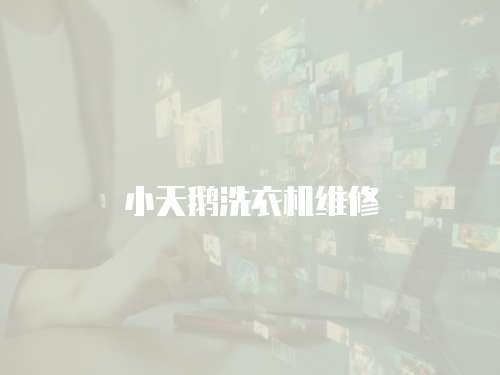 小天鵝洗衣機維修