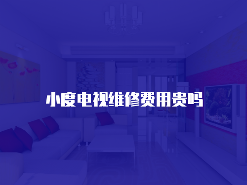 小度電視維修費(fèi)用貴嗎