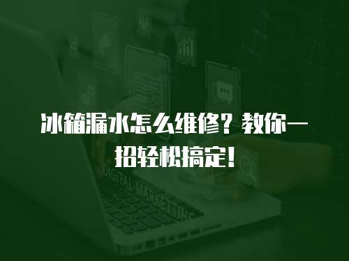 冰箱漏水怎么維修？教你一招輕松搞定！