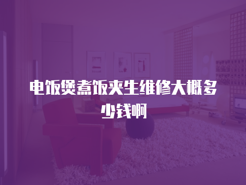 電飯煲煮飯夾生維修大概多少錢啊