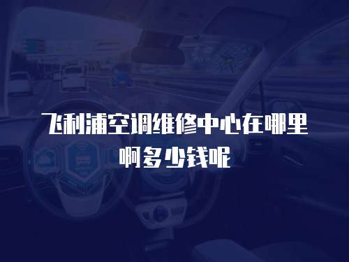 飛利浦空調(diào)維修中心在哪里啊多少錢(qián)呢