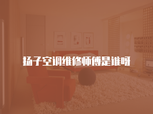 揚(yáng)子空調(diào)維修師傅是誰呀