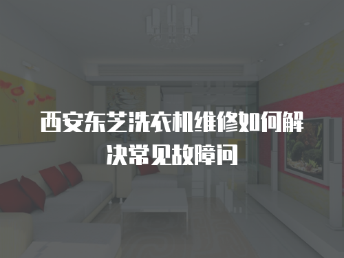 西安東芝洗衣機(jī)維修如何解決常見(jiàn)故障問(wèn)