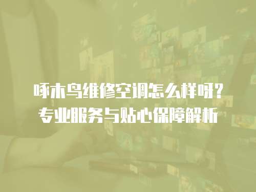 啄木鳥維修空調怎么樣呀？專業服務與貼心保障解析