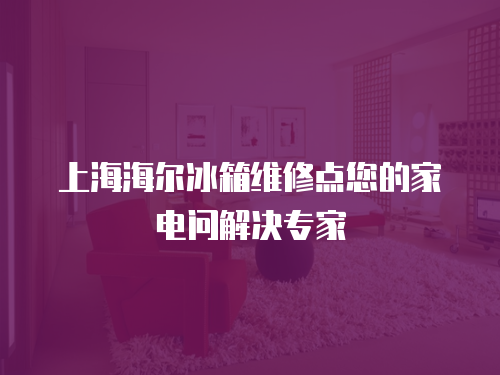 上海海爾冰箱維修點(diǎn)您的家電問(wèn)解決專家