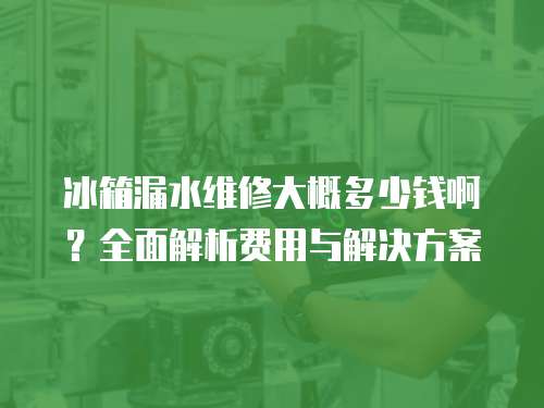 冰箱漏水維修大概多少錢啊？全面解析費(fèi)用與解決方案