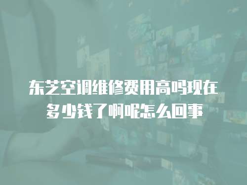 東芝空調維修費用高嗎現在多少錢了啊呢怎么回事