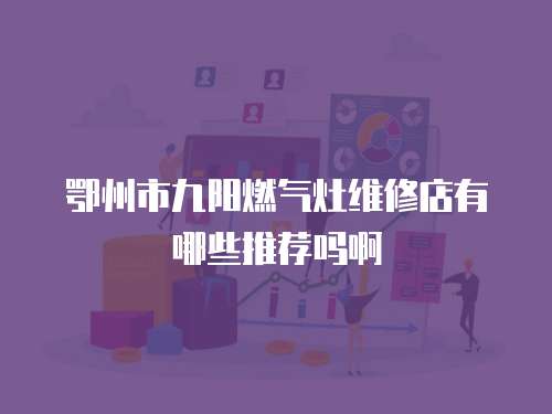 鄂州市九陽燃氣灶維修店有哪些推薦嗎啊