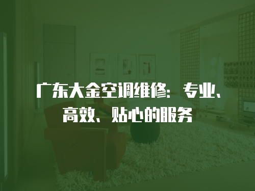 廣東大金空調(diào)維修：專業(yè)、高效、貼心的服務